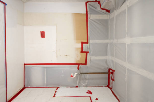 Cullowhee, NC Mold Removal Company