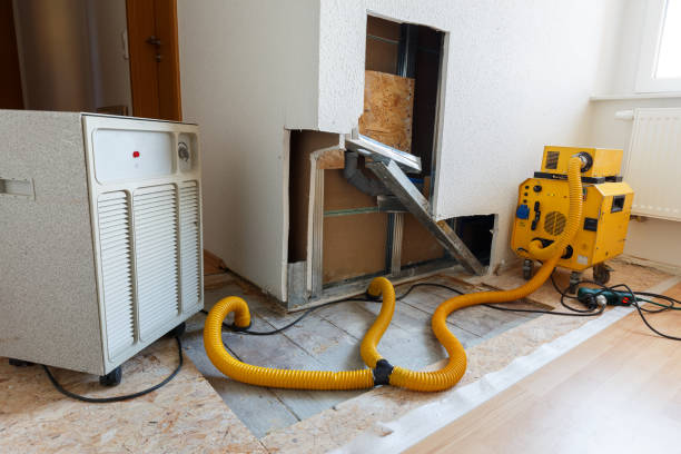 Best Comprehensive Air Testing for Mold Contaminants  in Cullowhee, NC
